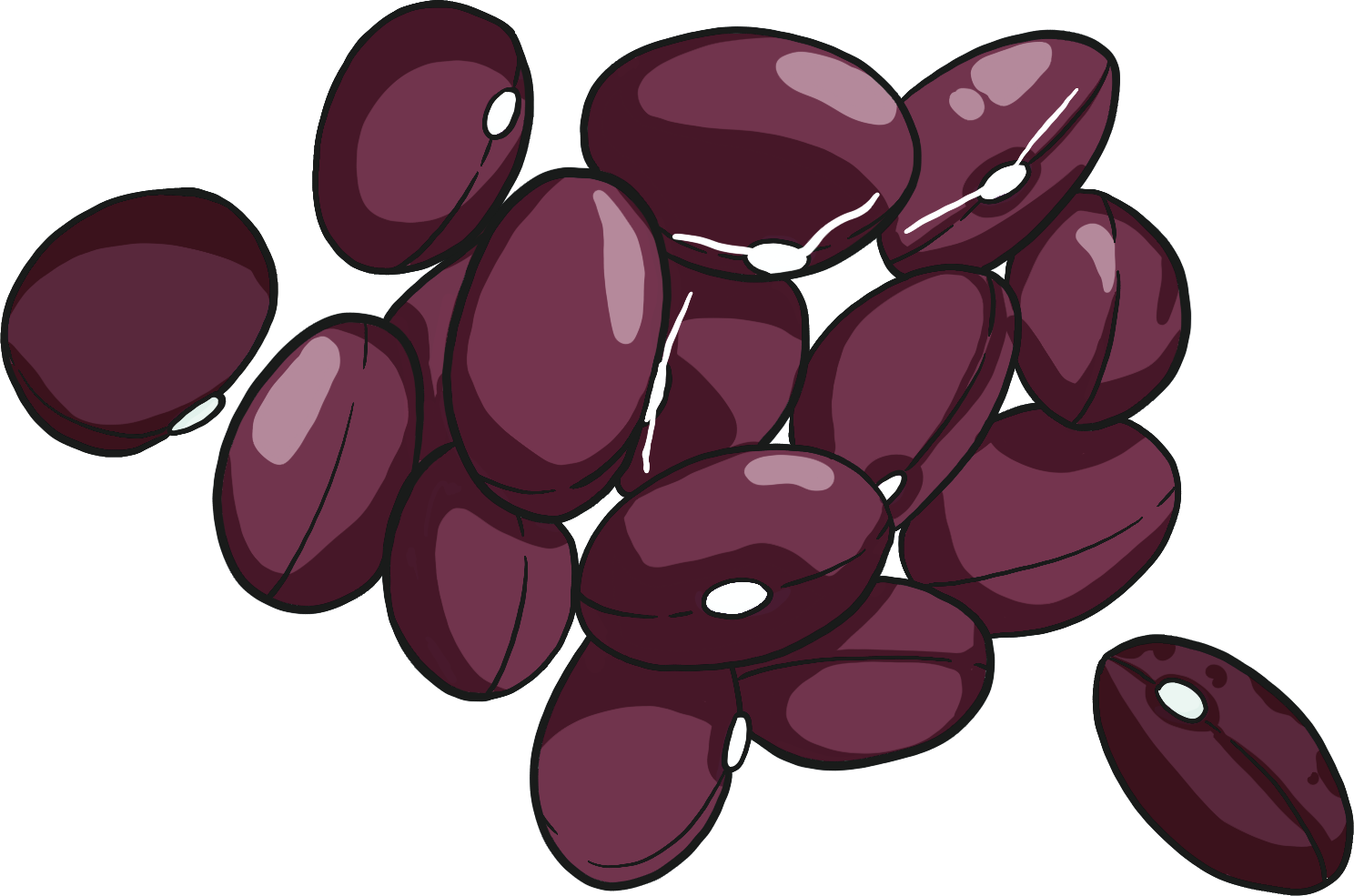 Abenaki Vermont Cranberry pole bean