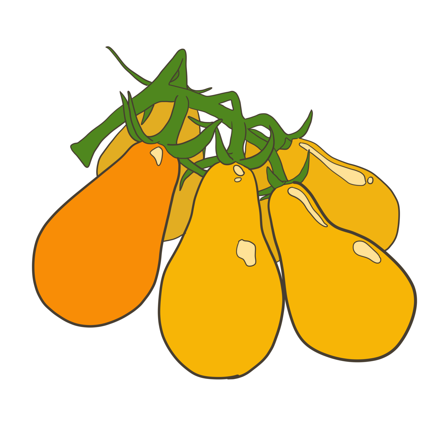 Yellow Pear Heirloom Tomato