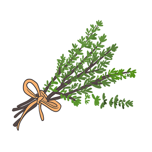 Common Thyme