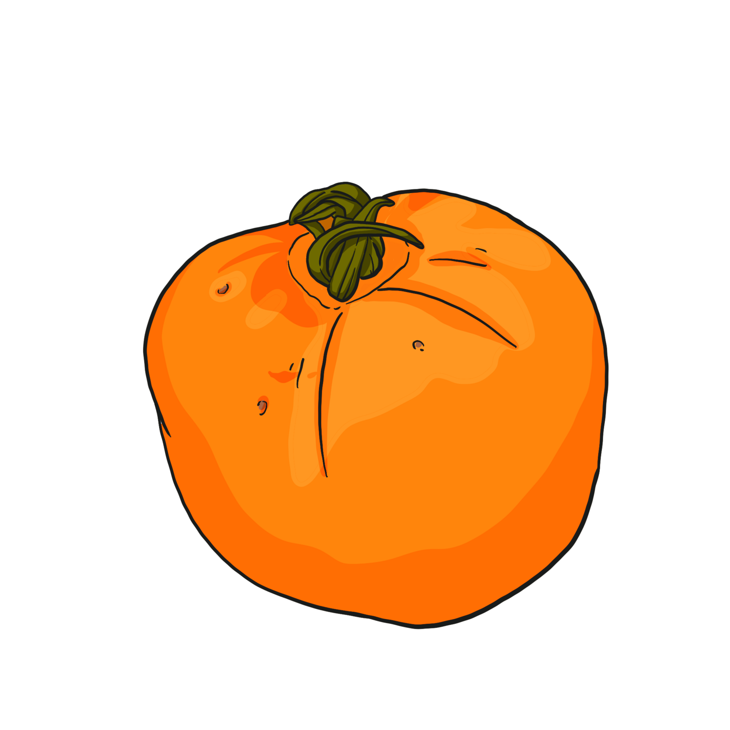 Valencia Heirloom Tomato