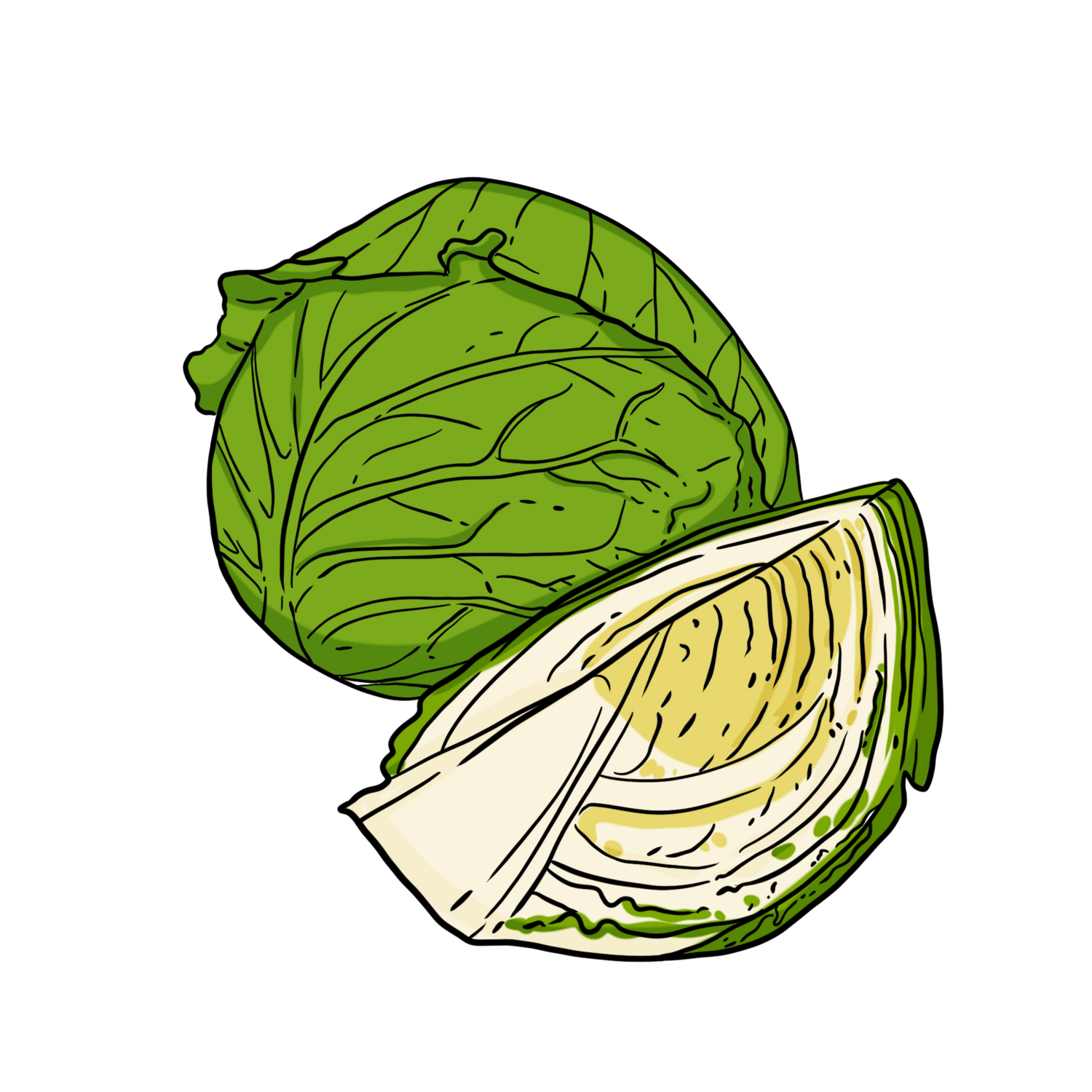 Golden Acre Cabbage