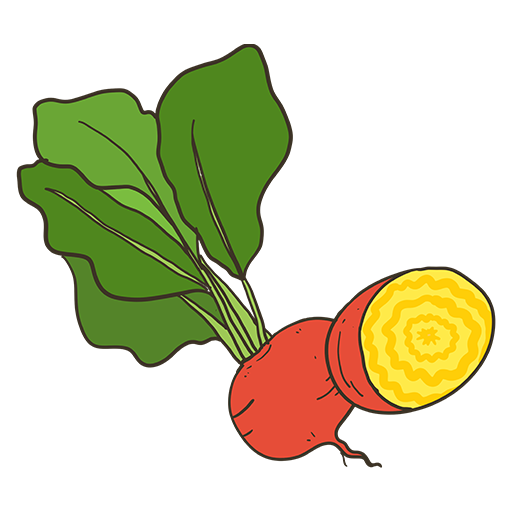 Touchstone Gold Heirloom Beets