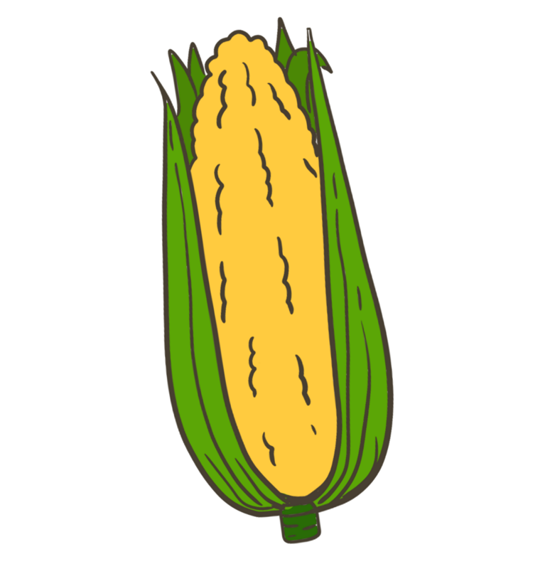 Corn