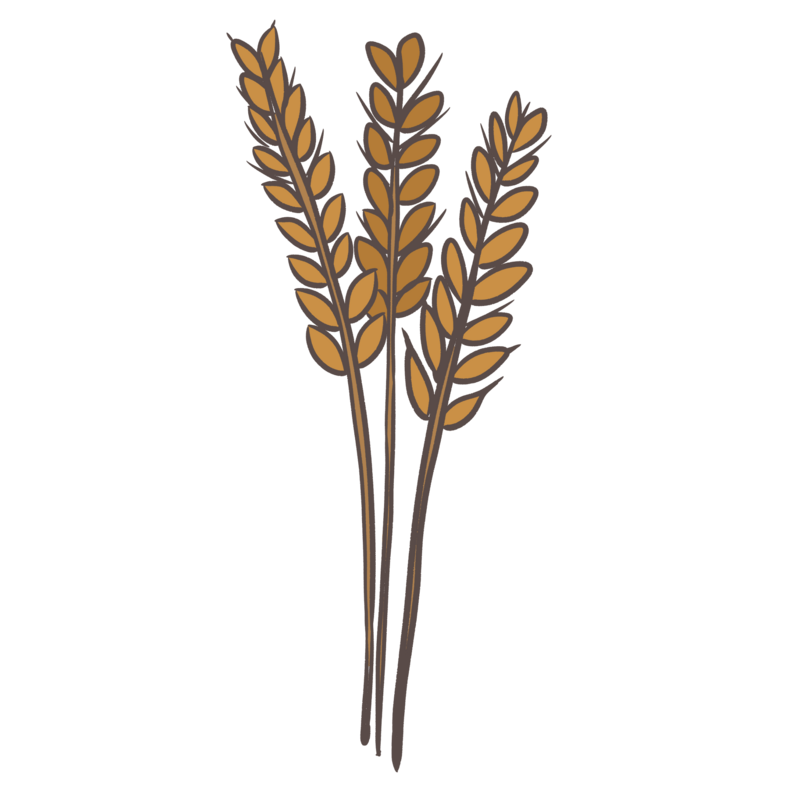 Grains