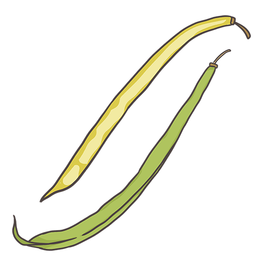 Beans