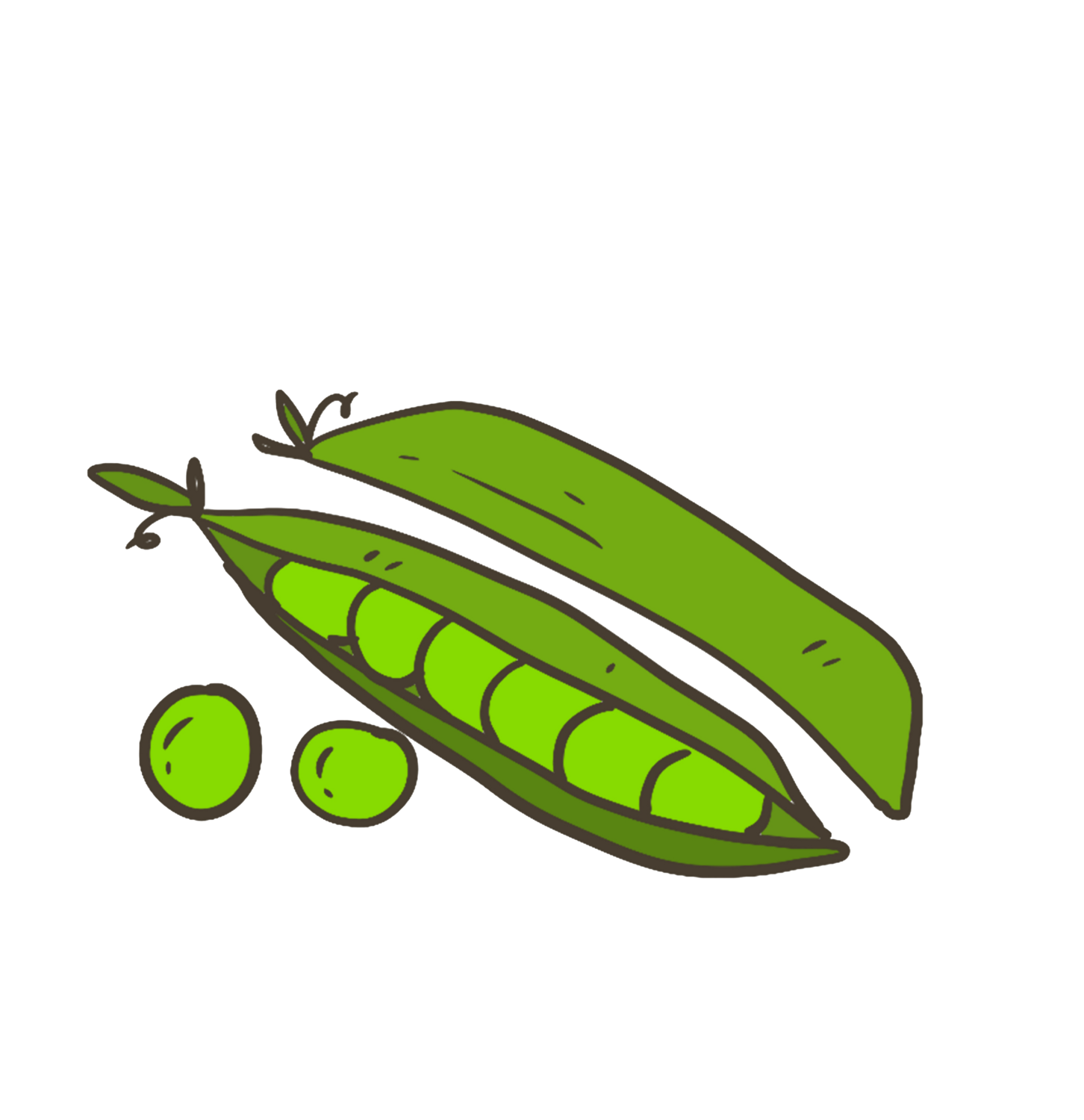 Sugar Snap Pea