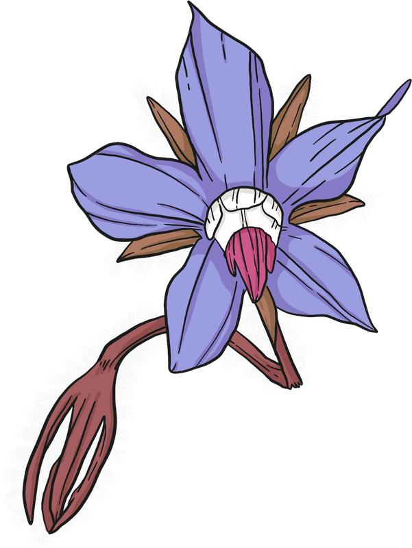 Edible flowers