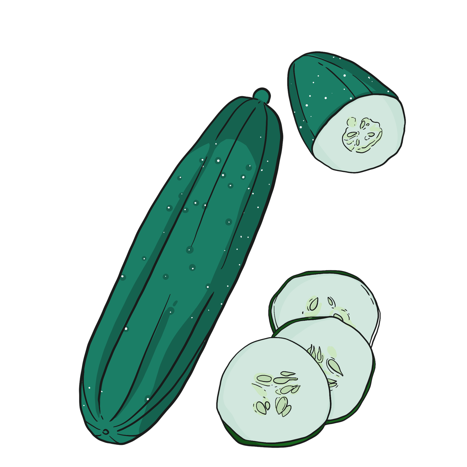 Straight Eight Heirloom Cucumber