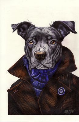 Custom Ballpoint Pen Pet Portrait Drawing with Basic Frame