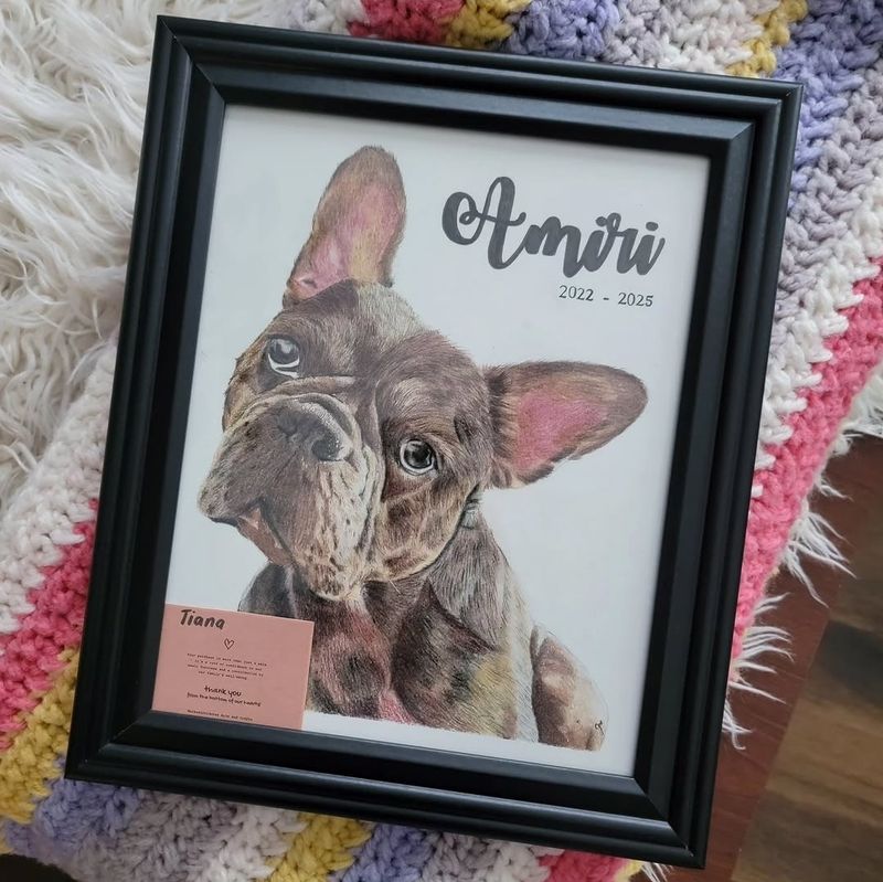 Custom Pet Portrait Drawing - Colored Pencil by Glecylle