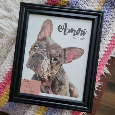 Custom Pet Portrait Drawing - Colored Pencil by Glecylle
