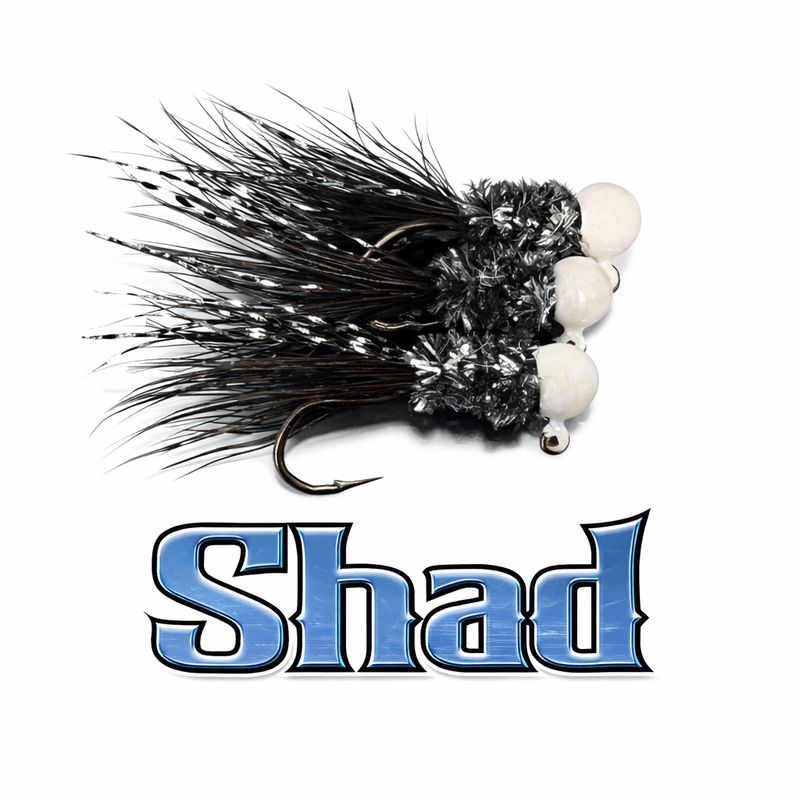 Shad