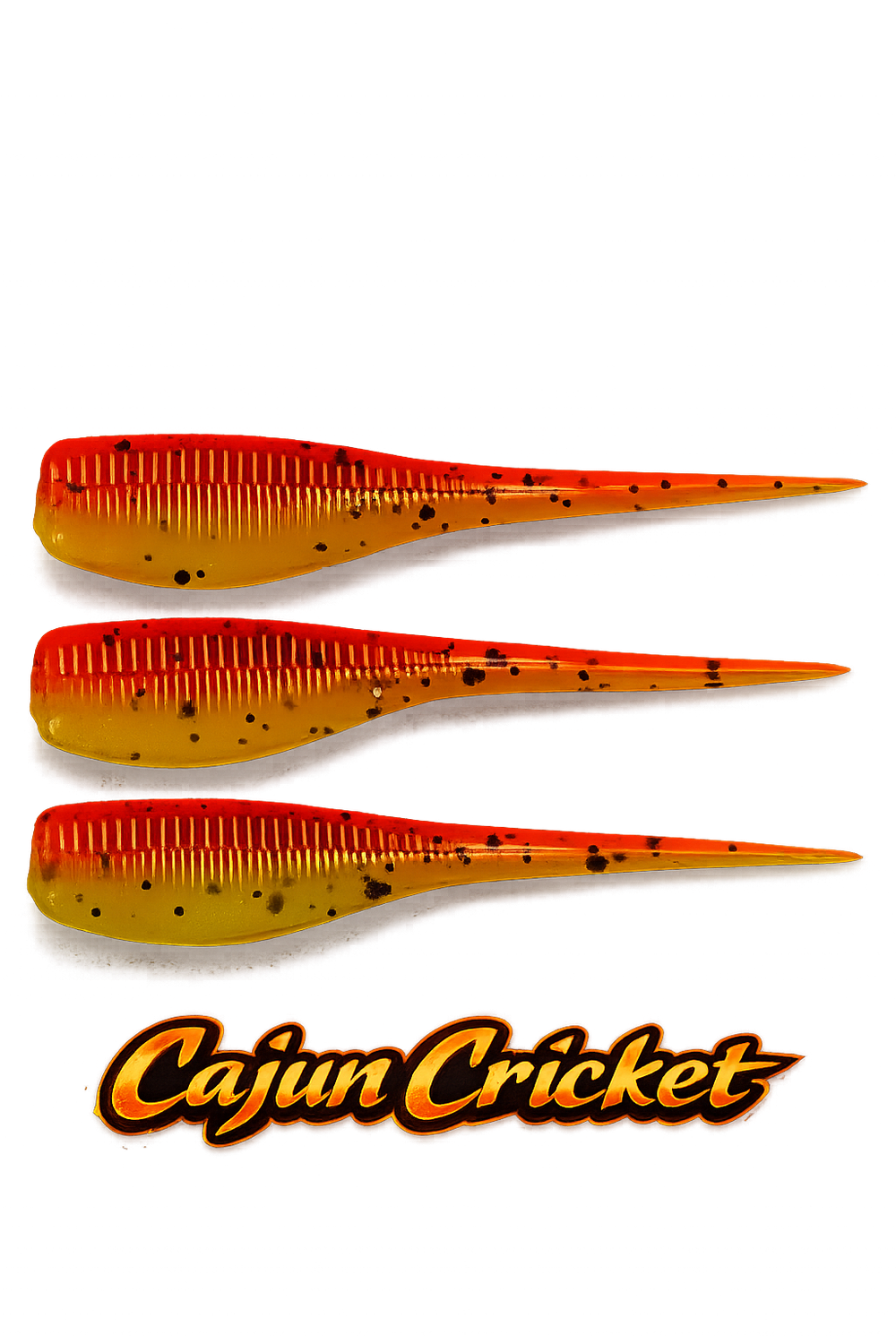 Cajun Cricket