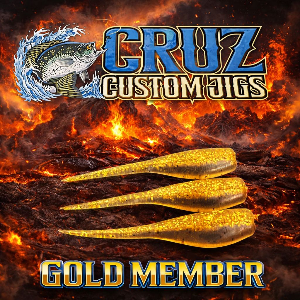 Gold Member