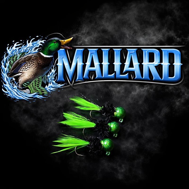 Big Headed Mallard