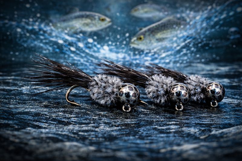 Big Headed Bait Fish