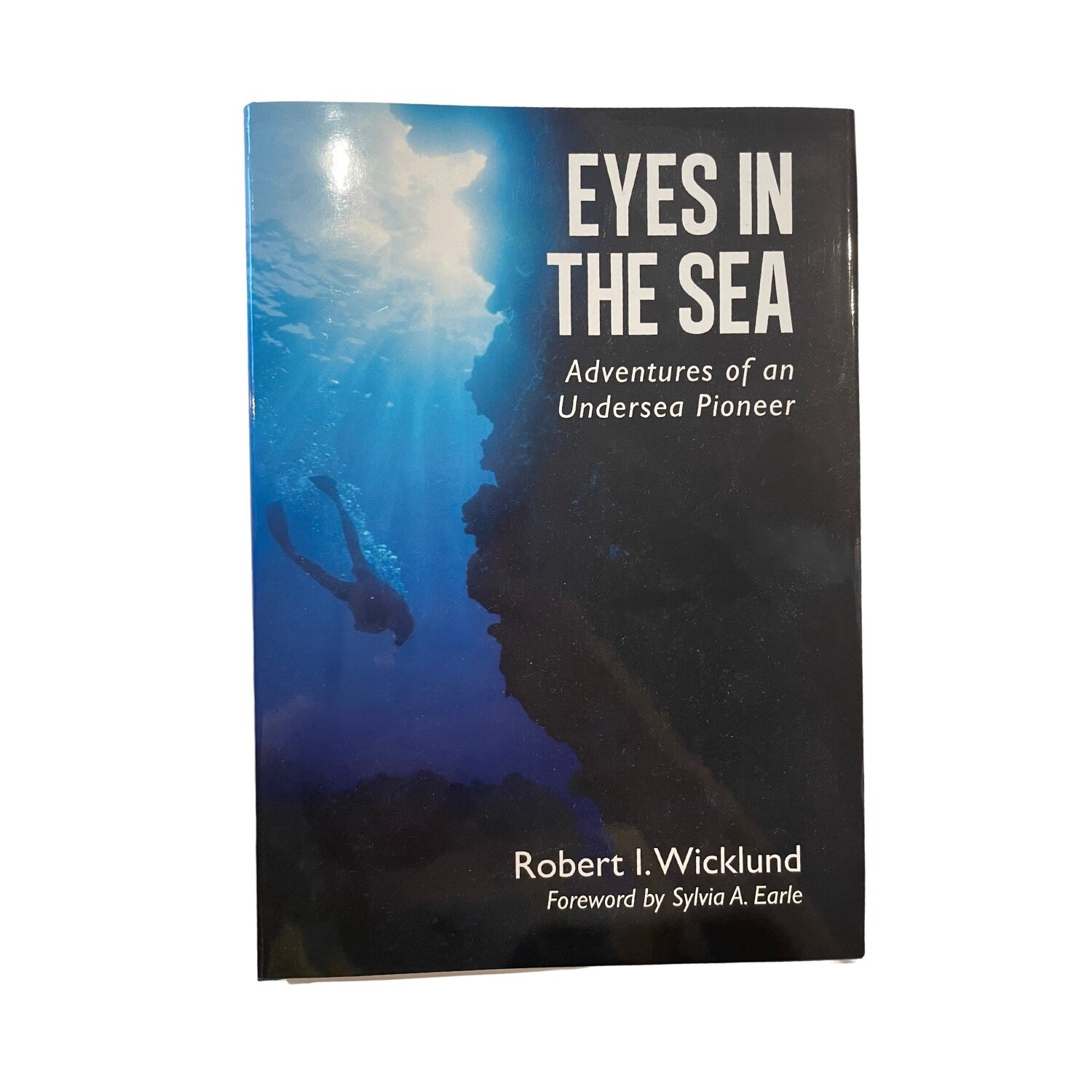BK Eyes In The Sea