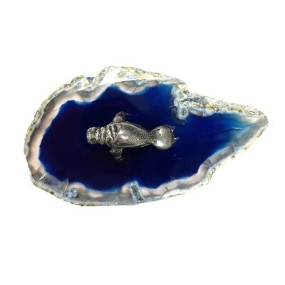 AO30 Manatee on Agate