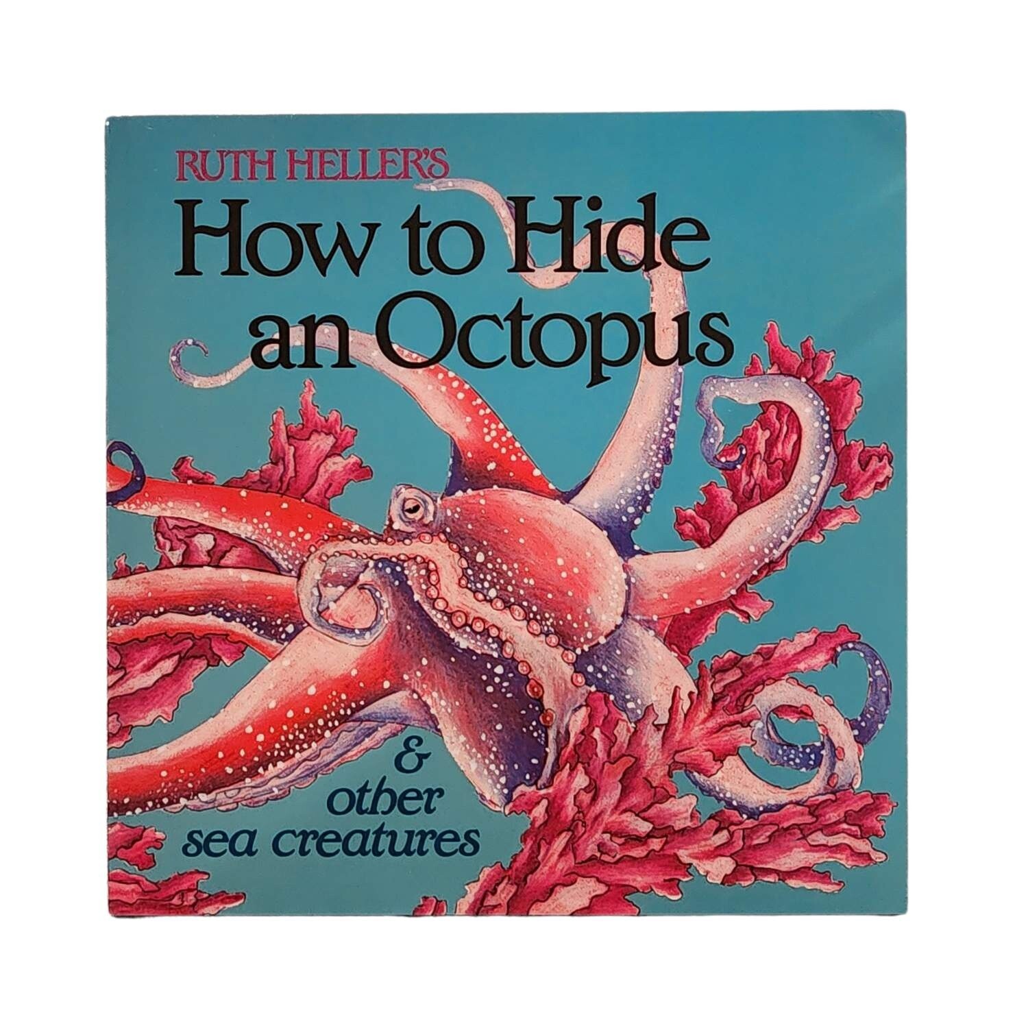 BKK How To Hide An Octopus