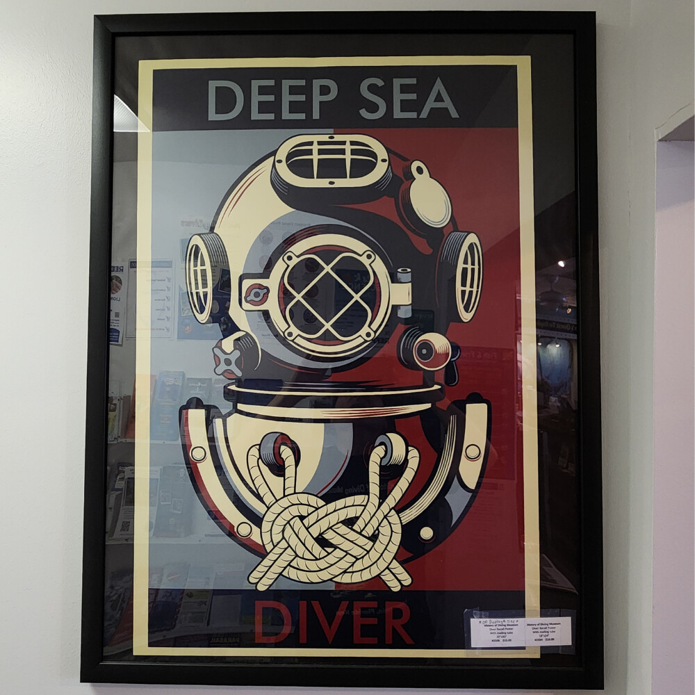 Poster Diver Recall 24x18