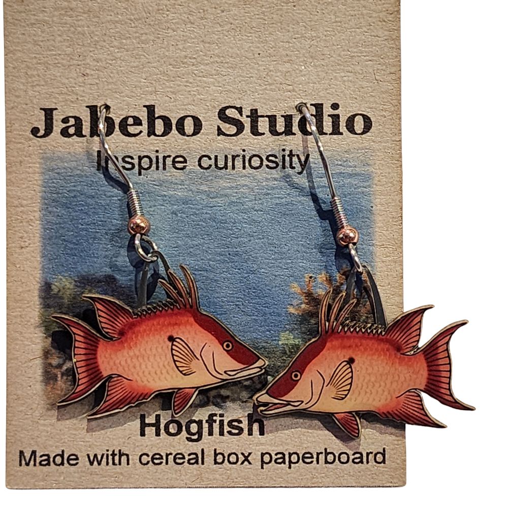 ER Hogfish