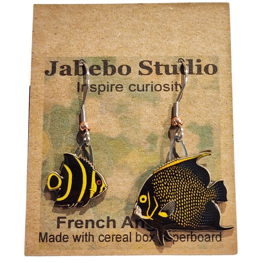 ER French Angelfish