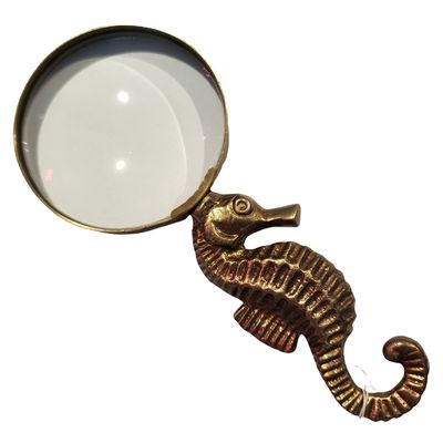 Magnifying Glass Seahorse