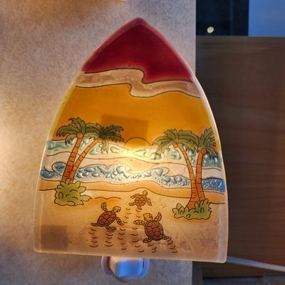 Nightlight Sea Turtle Crawl