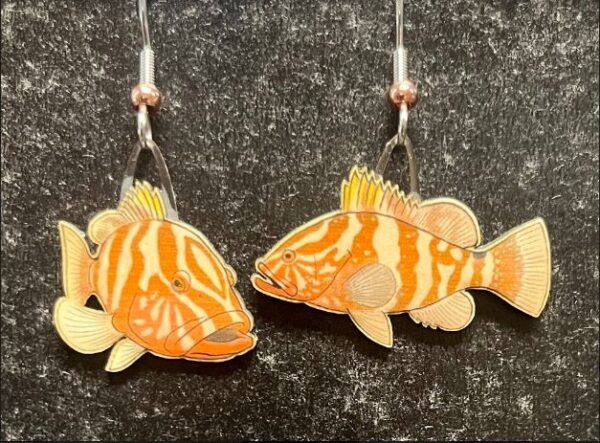 ER Grouper