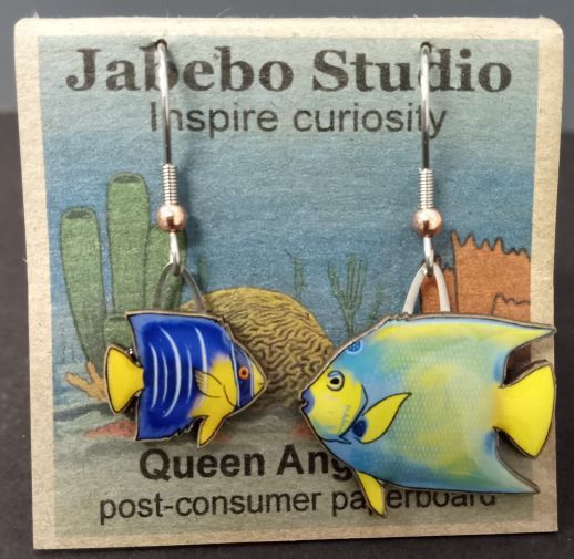 ER Queen Angelfish