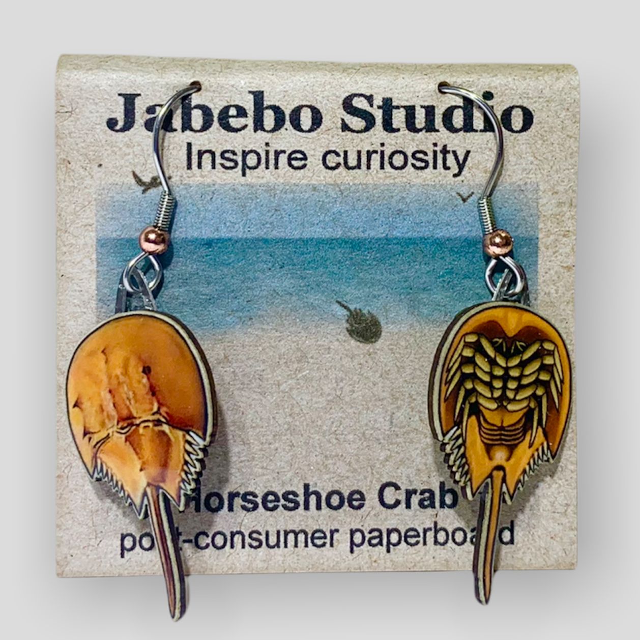 ER Horseshoe Crab