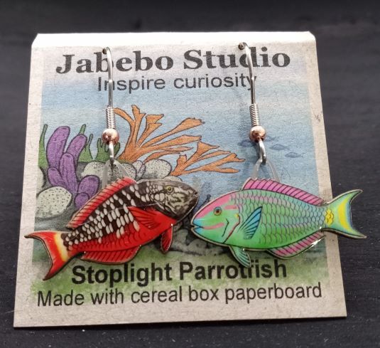 ER Spotlight Parrotfish