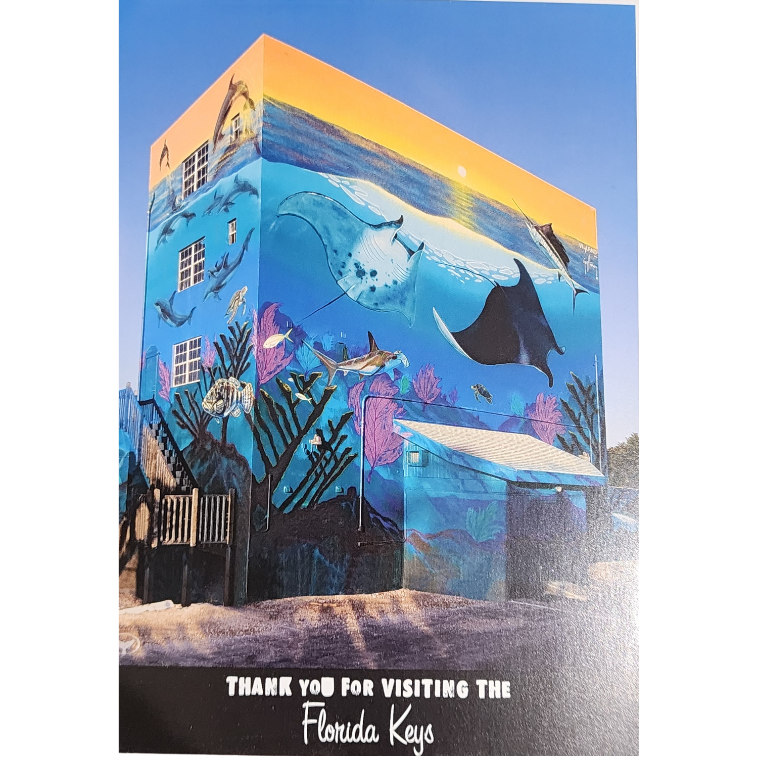 Cards Wyland Misc.