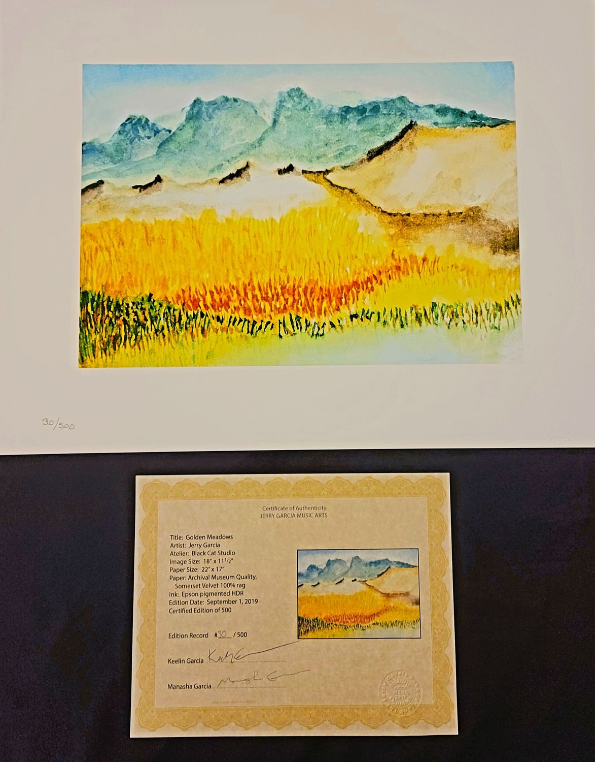 Jerry Garcia Print: Golden Meadows