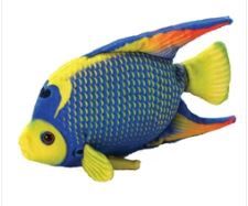 Plush Queen Angelfish 6&quot;