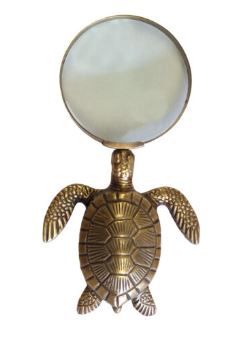Magnifying Glass Turtle