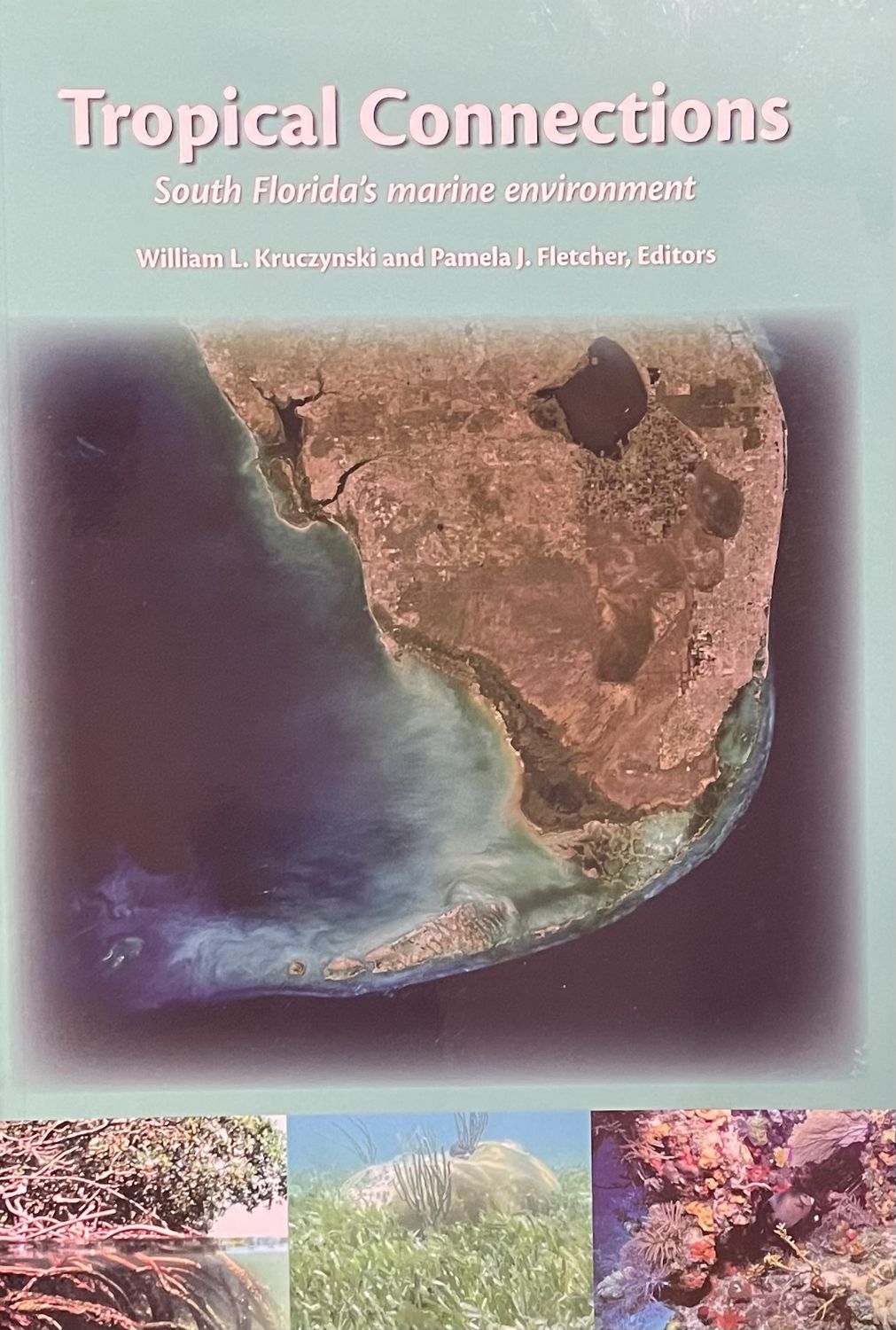 BK Tropical Connections