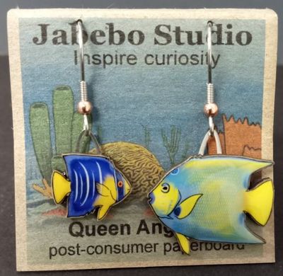 ER Queen Angelfish