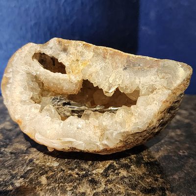 Diver Mini Shark in Geode
