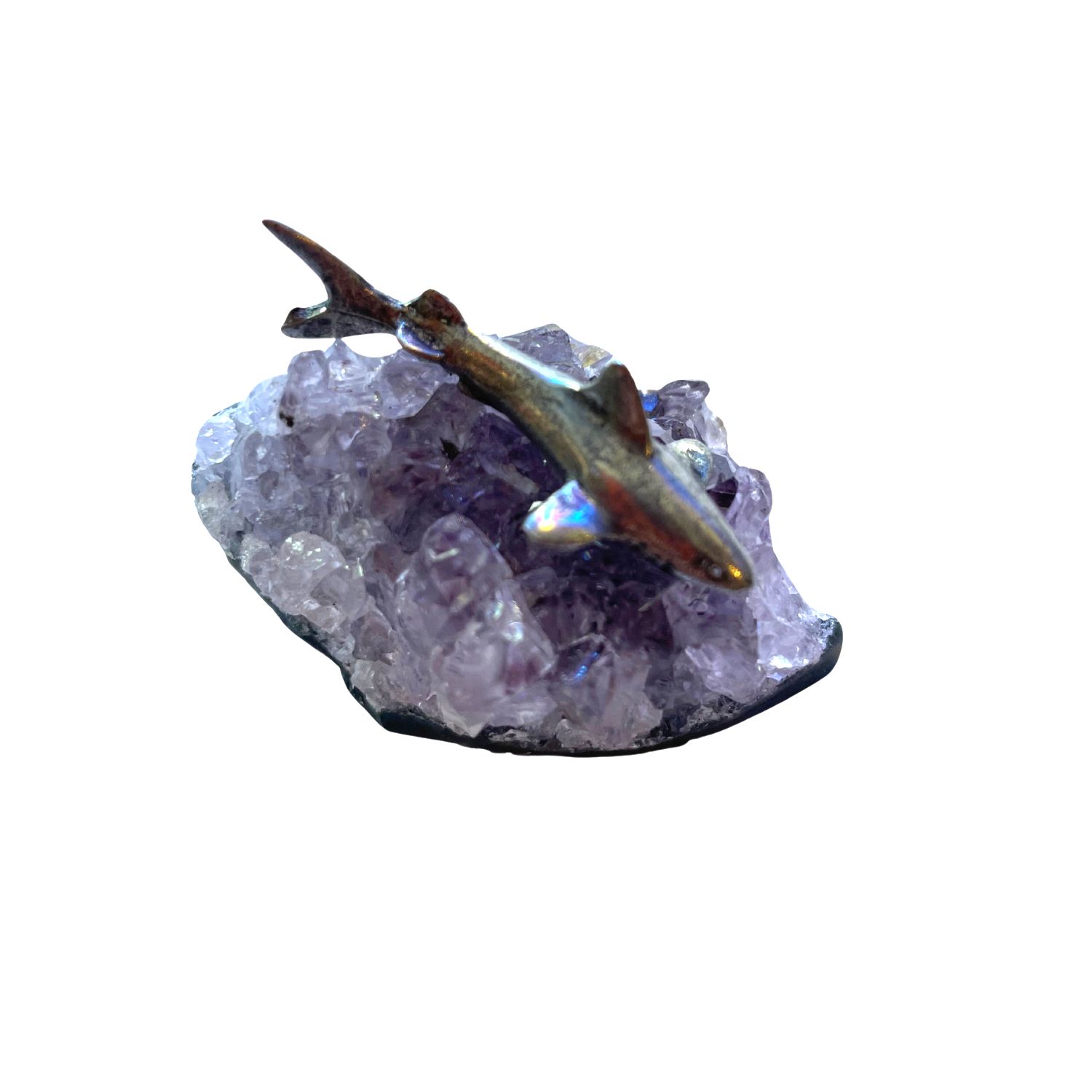 Diver Sm shark on amethyst