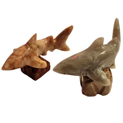 Marble White Shark 3"
