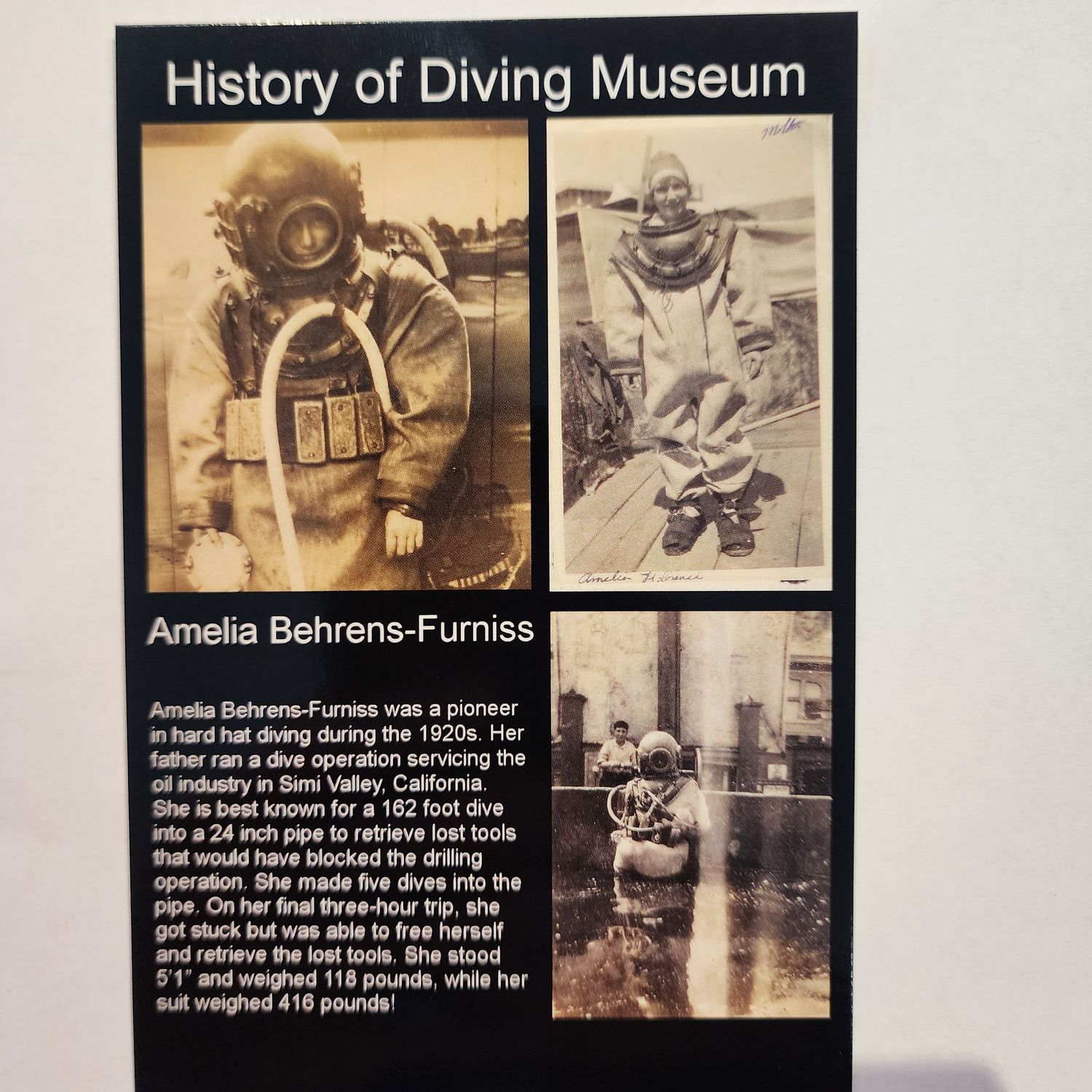 Amelia Behrens Postcard