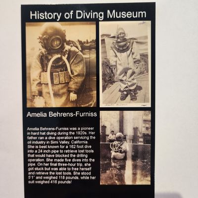 Amelia Behrens Postcard