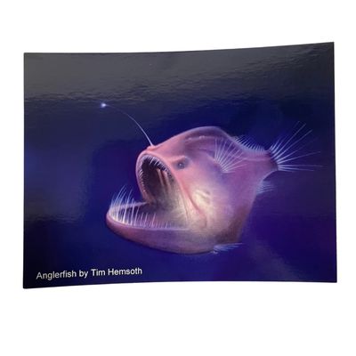 Anglerfish Postcard