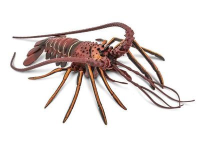 Spiny Lobster