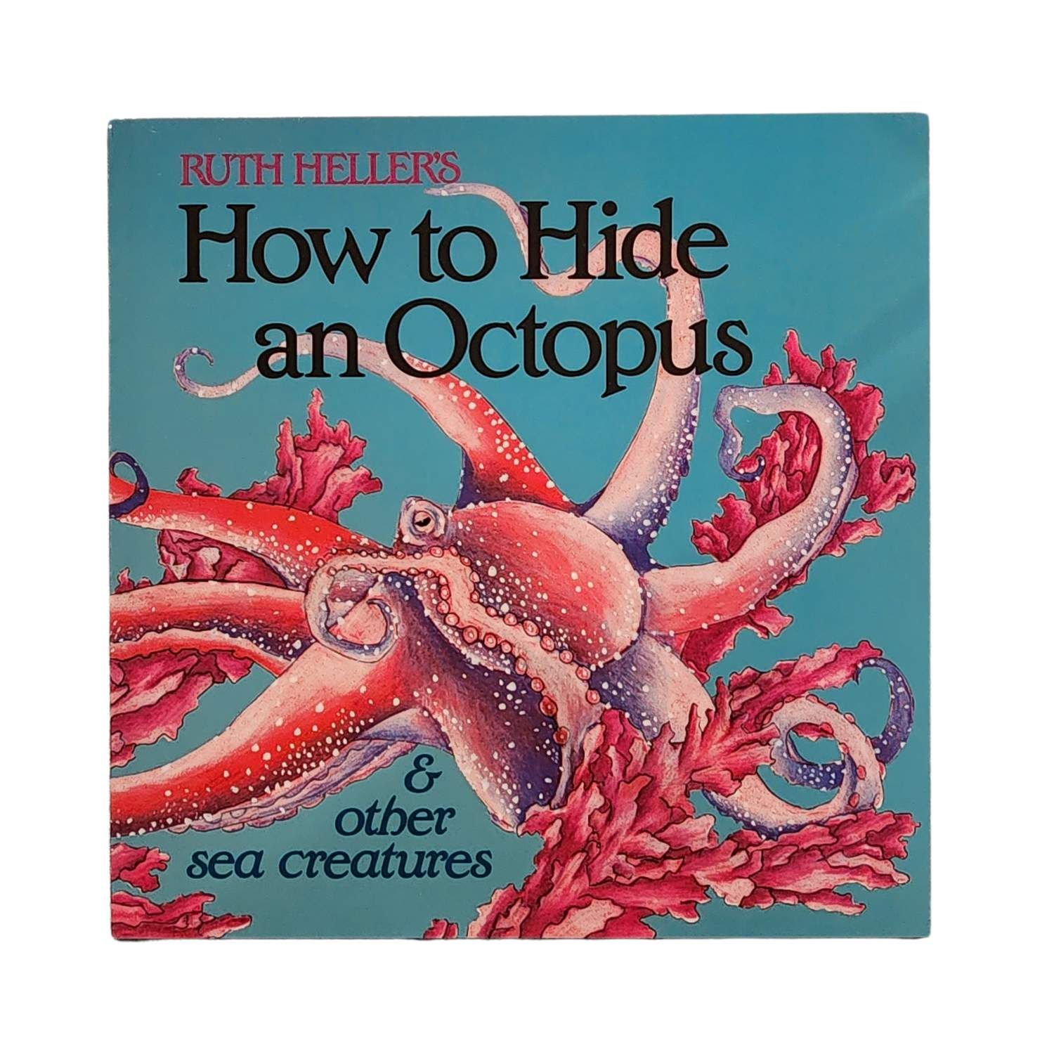 How To Hide An Octopus