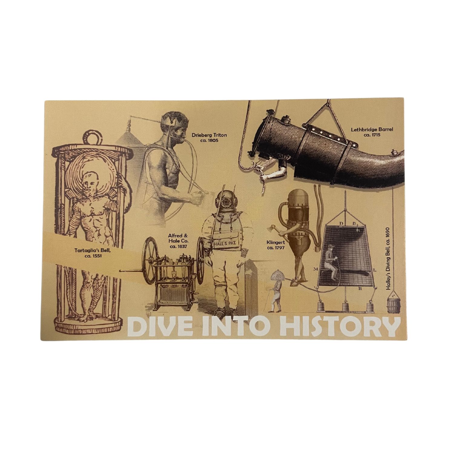 Dive Into History Postcard