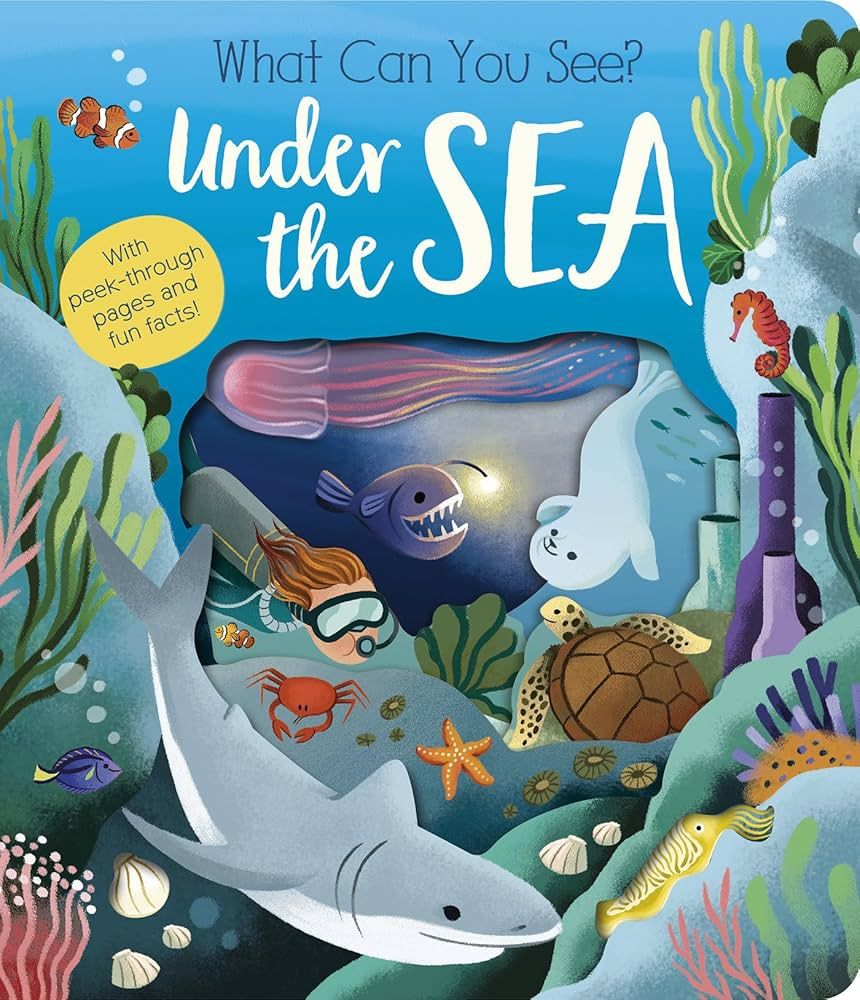 What Can You See Under the Sea