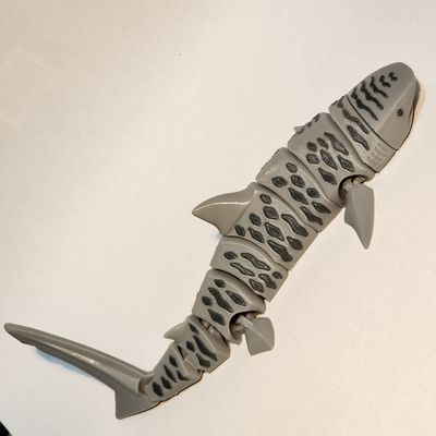 3D Tiger Shark
