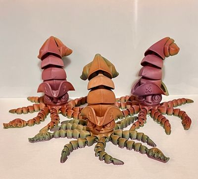 3D Pirate Squid